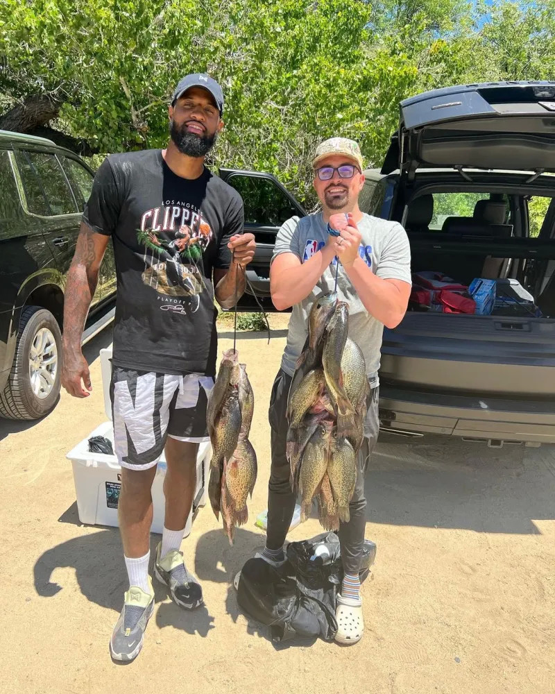 也未能立刻 也未能立刻