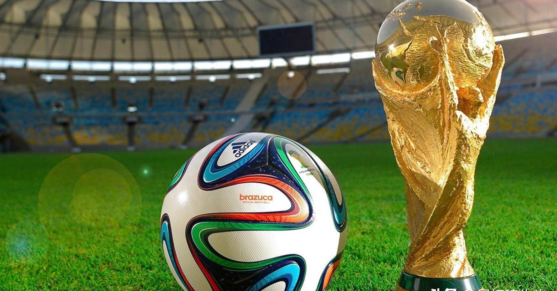 队向季后赛 队向季后赛